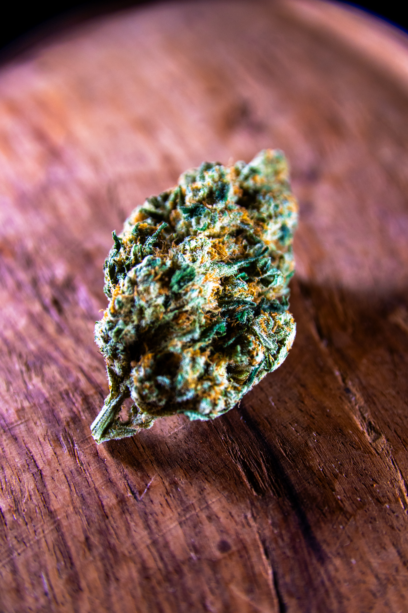 Fleurs SKITTLEZ CBDX IV