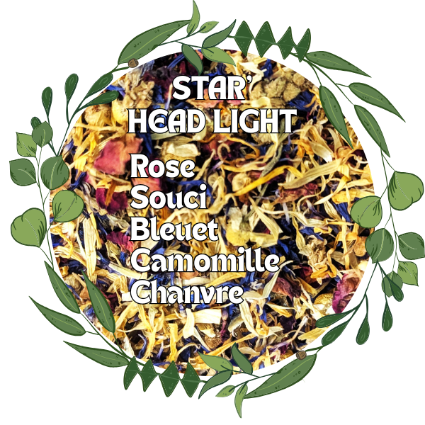 Tisane STAR'HEAD LIGHT