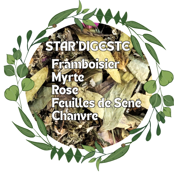 Tisane STAR'DIGESTE