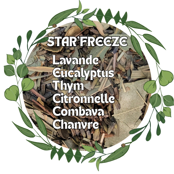 STAR'FREEZE