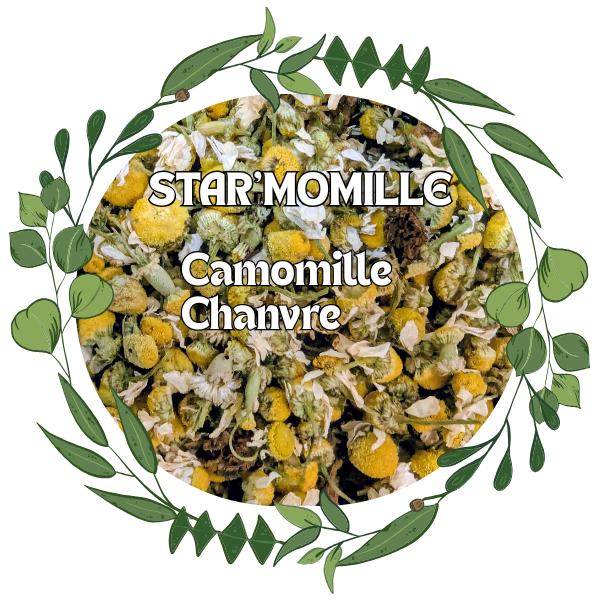 Tisane STAR'MOMILLE